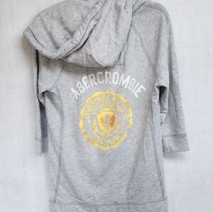 Vintage Y2K Abercrombie Fitch SZ Large Heather Grey Logo Hooded Sweatshirt